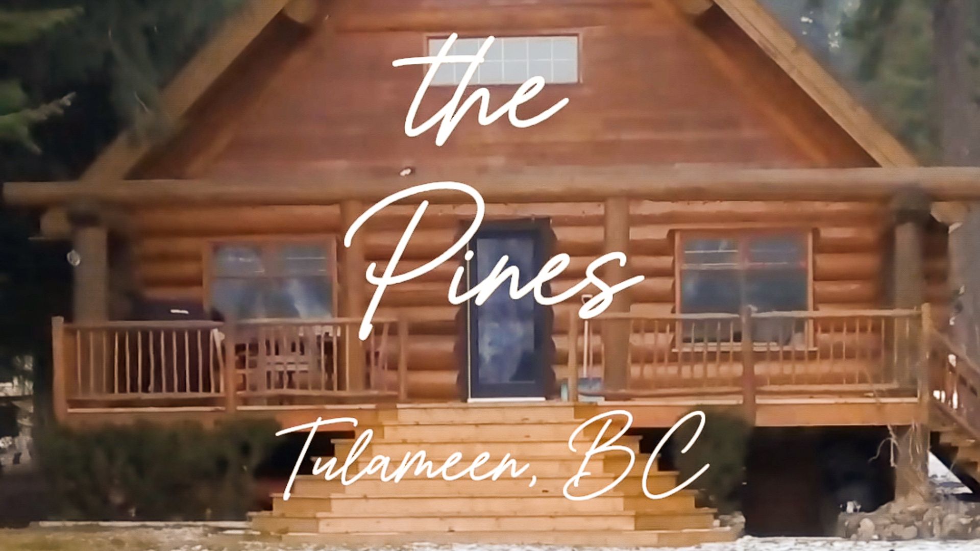 The Pines (Winter)